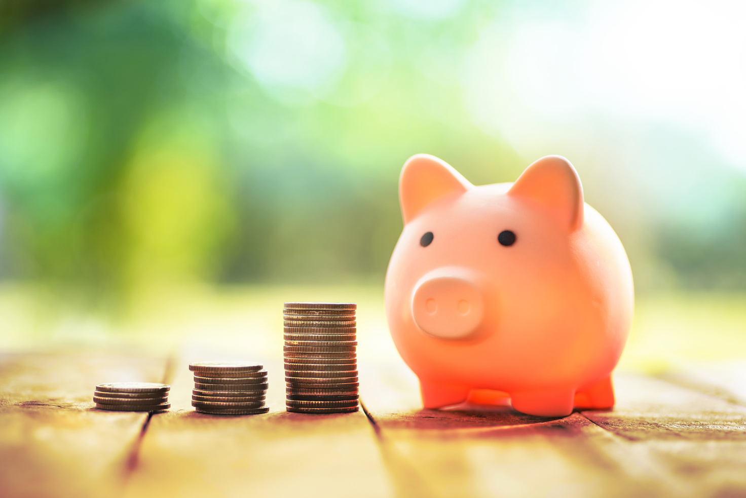 Coins with Piggy Bank